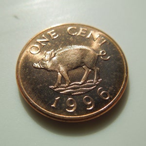 Bermuda Coins, 1 Cent, 1996, Wild Boar, Uncirculated From Mint Roll - Sell By The Piece