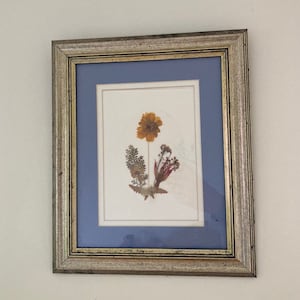 Vintage framed pressed flowers