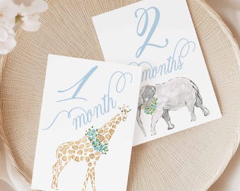 Boy Milestone Cards | Milestone cards | Safari | Baby Gift | New Mom | Gift Ideas | Baby Shower | Baby Month Cards | Memories | Baby Boy