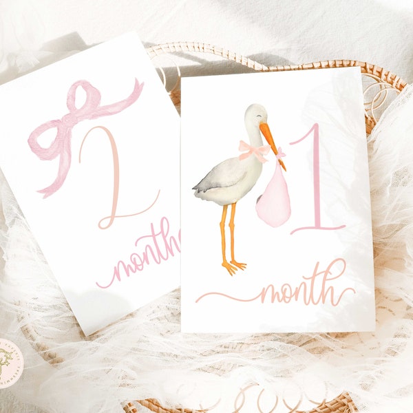 Girl Milestone Cards | Milestone cards | Stork | Baby Gift | New Mom | Gift Ideas | Baby Shower | Baby Month Cards | Memories | Baby Girl