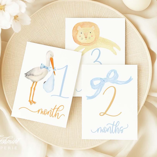 Milestone Cards, Monthly Milestone Cards, Baby Shower Gift, Newborn Photos, Watercolor Heirloom Milestone Cards, Set of 12 cards, Baby Boy