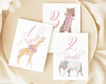 Girl Milestone Cards | Milestone cards | Safari | Baby Gift | New Mom | Gift Ideas | Baby Shower | Baby Month Cards | Memories | Baby Girl