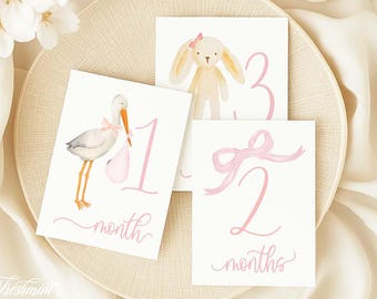 Milestone Cards, Monthly Milestone Cards, Baby Shower Gift, Newborn Photos, Watercolor Heirloom Milestone Cards, Set of 12 cards