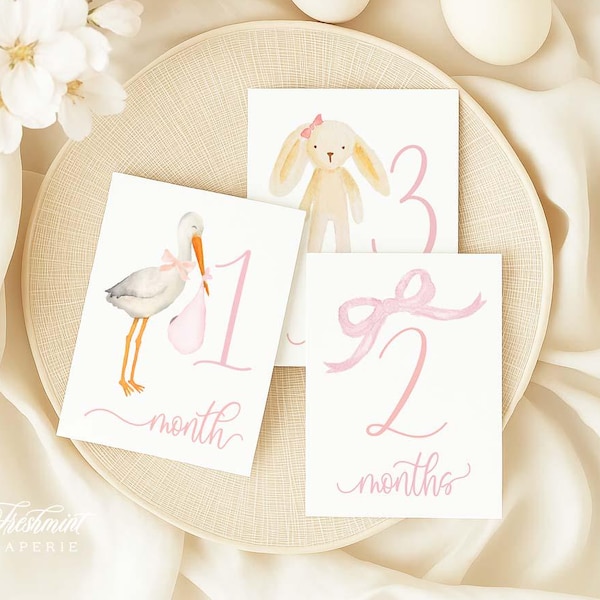 Milestone Cards, Monthly Milestone Cards, Baby Shower Gift, Newborn Photos, Watercolor Heirloom Milestone Cards, Set of 12 cards