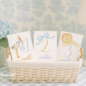 Meilensteinkarten, monatliche Meilensteinkarten, Babypartygeschenk, Neugeborenen Fotos, Aquarell Erbstück Meilensteinkarten, Set mit 12 Karten, Baby Junge Bild 2