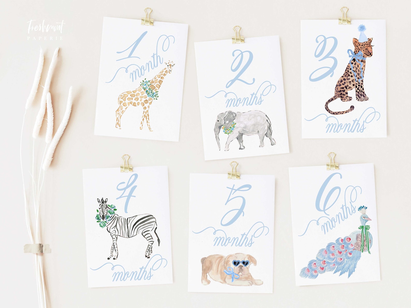 Boy Milestone Cards | Milestone Cards | Safari | Baby Gift | New Mom ...