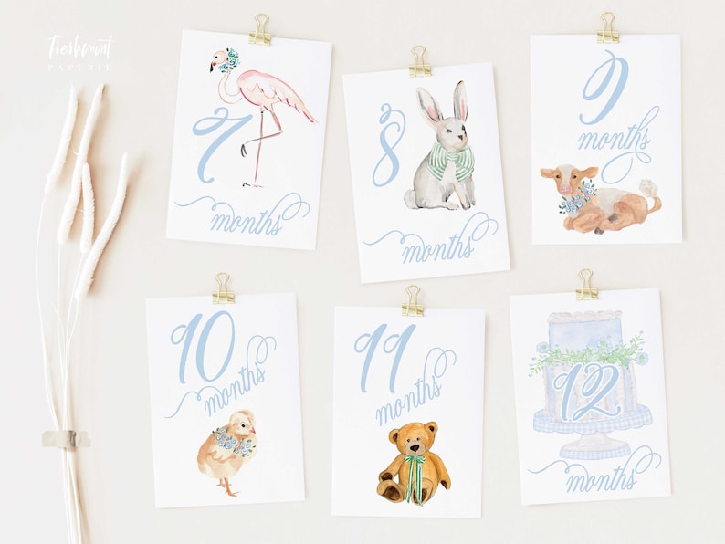 Boy Milestone Cards | Milestone Cards | Safari | Baby Gift | New Mom ...