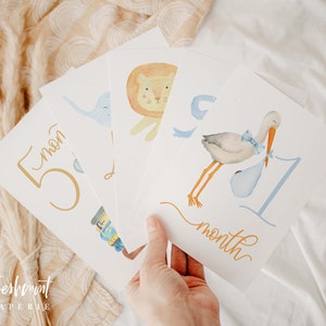 K&ouml;nnte beinhalten: Satz von f&uuml;nf Baby-Meilenstein-Karten mit Aquarell-Illustrationen von Tieren. Die Karten sind von 1 bis 5 nummeriert und enthalten den Text "Monat". Die Illustrationen beinhalten einen Storch, einen L&ouml;wen, einen Elefanten, ein Buch und ein Schaukelpferd.