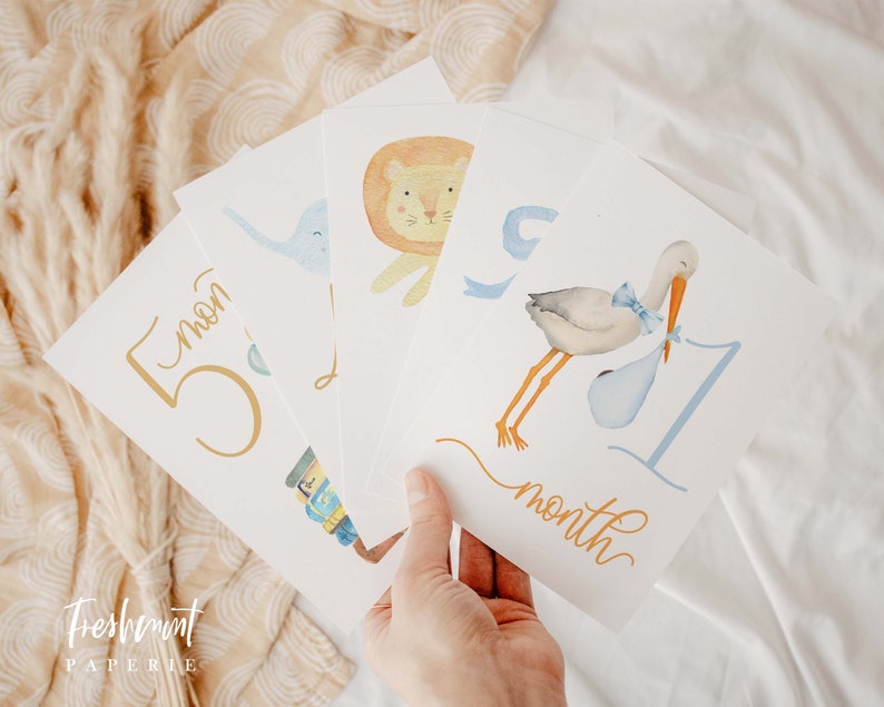 K&ouml;nnte beinhalten: Satz von f&uuml;nf Baby-Meilenstein-Karten mit Aquarell-Illustrationen von Tieren. Die Karten sind von 1 bis 5 nummeriert und enthalten den Text "Monat". Die Illustrationen beinhalten einen Storch, einen L&ouml;wen, einen Elefanten, ein Buch und ein Schaukelpferd.