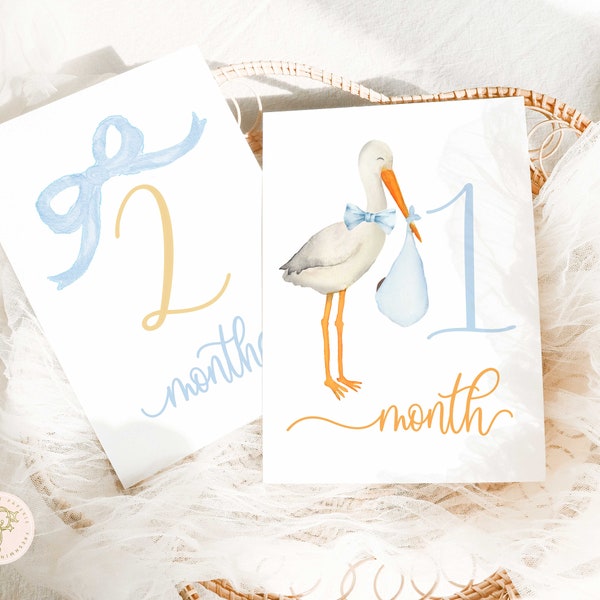 Boy Milestone Cards | Milestone cards | Stork | Baby Gift | New Mom | Gift Ideas | Baby Shower | Baby Month Cards | Memories | Baby Boy