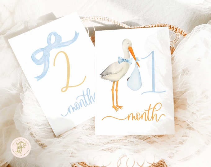 Boy Milestone Cards | Milestone cards | Stork | Baby Gift | New Mom | Gift Ideas | Baby Shower | Baby Month Cards | Memories | Baby Boy