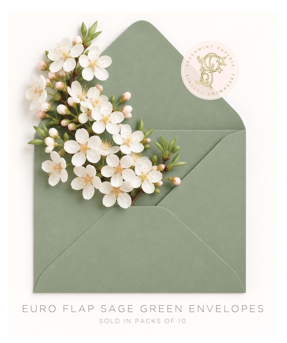 Sage Green envelopes, add on to any print order - Freshmint paperie