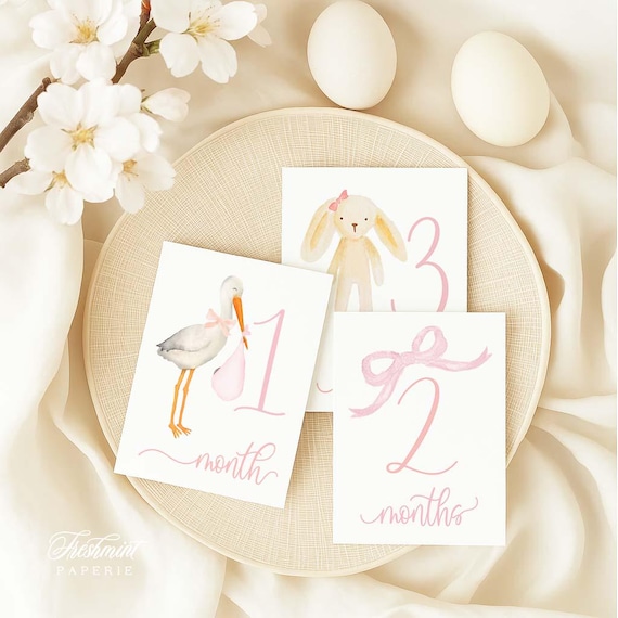 Milestone Cards, Monthly Milestone Cards, Baby Shower Gift, Newborn Photos, Watercolor Heirloom Milestone Cards, Set of 12 cards