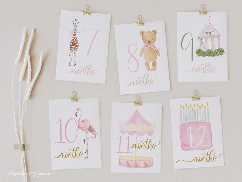Girl Milestone Cards Milestone cards Stork Baby Gift New Mom Gift Ideas Baby Shower Baby Month Cards Memories Baby Girl image 4