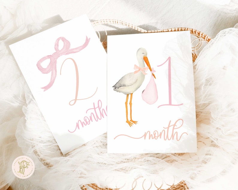 Girl Milestone Cards Milestone cards Stork Baby Gift New Mom Gift Ideas Baby Shower Baby Month Cards Memories Baby Girl image 1