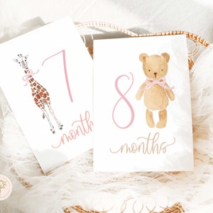 Girl Milestone Cards Milestone cards Stork Baby Gift New Mom Gift Ideas Baby Shower Baby Month Cards Memories Baby Girl image 2