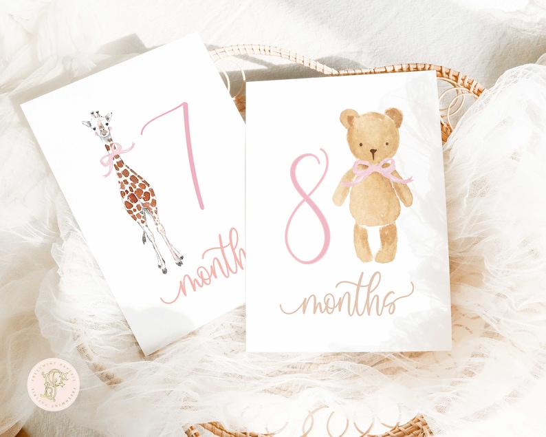 Girl Milestone Cards Milestone cards Stork Baby Gift New Mom Gift Ideas Baby Shower Baby Month Cards Memories Baby Girl image 2