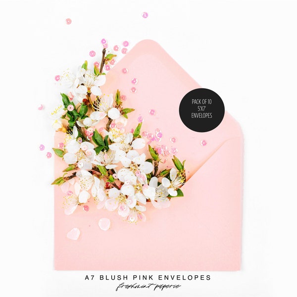 BLUSH PINK envelopes, add on to any print order - Freshmint paperie