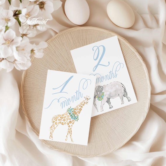 Boy Milestone Cards | Milestone cards | Safari | Baby Gift | New Mom | Gift Ideas | Baby Shower | Baby Month Cards | Memories | Baby Boy