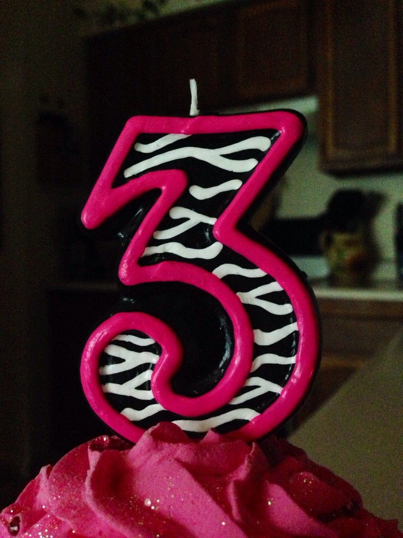 Handpainted Zebra Birthday Candles 3 inches tall Etsy