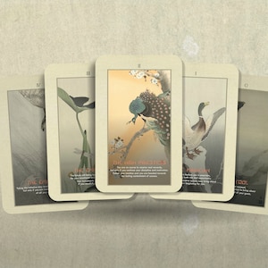 Ohara Koson Tarot - Japanse tarot - Grote Arcana - Tarot - Tarotspel - Waarzeggerij - Waarzeggerij - Tarotcadeau - Kaarten - Tokio
