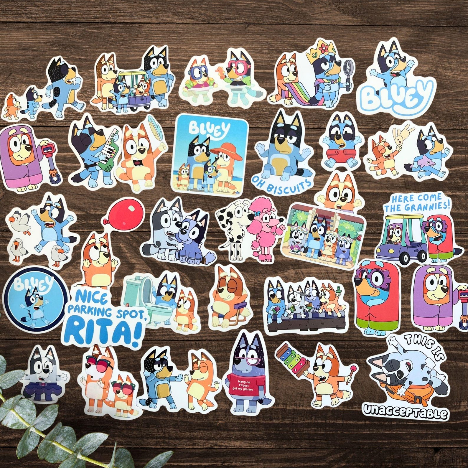 Bluey Stickers Pack | Bluey Birthday Party Favor Gift | Bluey Lover ...