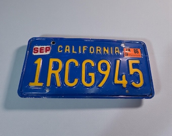 Vintage 1970 License Plate Metal Blue