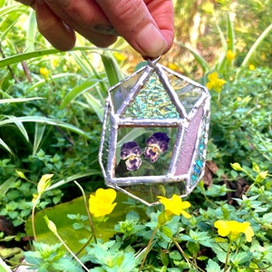 Pansy crystal