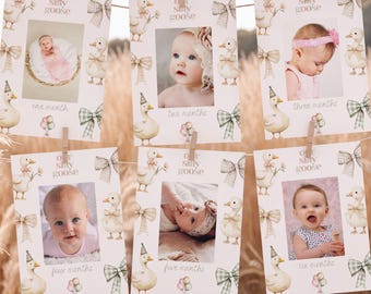 Silly Goose 1st Birthday Photo Banner: Monthly Milestone Printable (Canva Editable, Digital Download)
