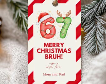 67 afdrukbaar kerstcadeaulabel: grappig cadeaulabel tiener, bewerkbare canvassjabloon (vakantielabel direct downloaden)