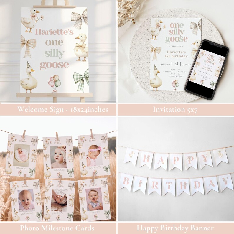 May include: Party decorations with a "One Silly Goose" theme, including a welcome sign, invitation, photo milestone cards, and a "Happy Birthday" banner. The decorations feature illustrations of a goose, bows, and balloons in soft pastel colours.