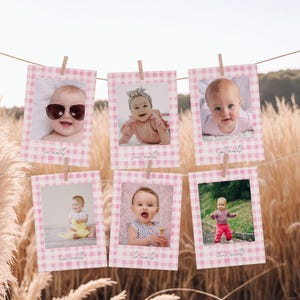 May include: A collection of six baby milestone photo cards. Each card is a pink and white gingham pattern with a photo of a baby and the month written in cursive. The cards are clipped to a string with wooden clothespins, set against a backdrop of tall, dry grass.