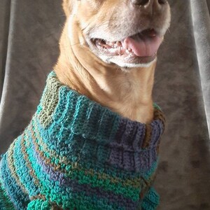 Maglione per cani all&#39;uncinetto