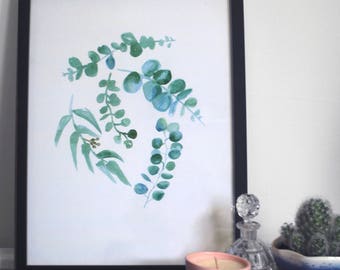 Eucalyptus Leaves Print