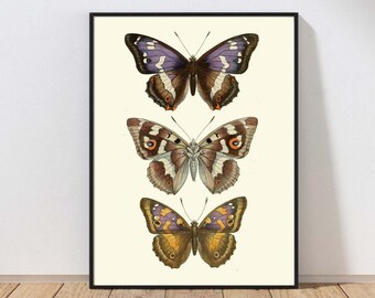 BUTTERFLY Wall Art Print Vintage Antique Illustration Painting Watercolor Purple Violet Farmhouse Garden Nature Home Decor to Frame LPH7