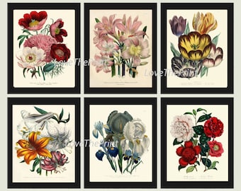 BOTANICAL Print SET of 6 Art Print  Loudon Antique Blue Iris Lily Tulip Flower Spring Summer Plant Nature to Frame Home Decor Garden