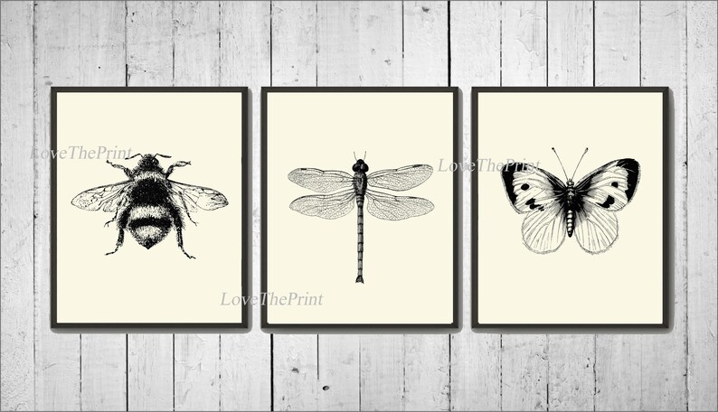 Bee Bumblebee Dragonfly Butterfly SET of 3 Art Prints - Etsy
