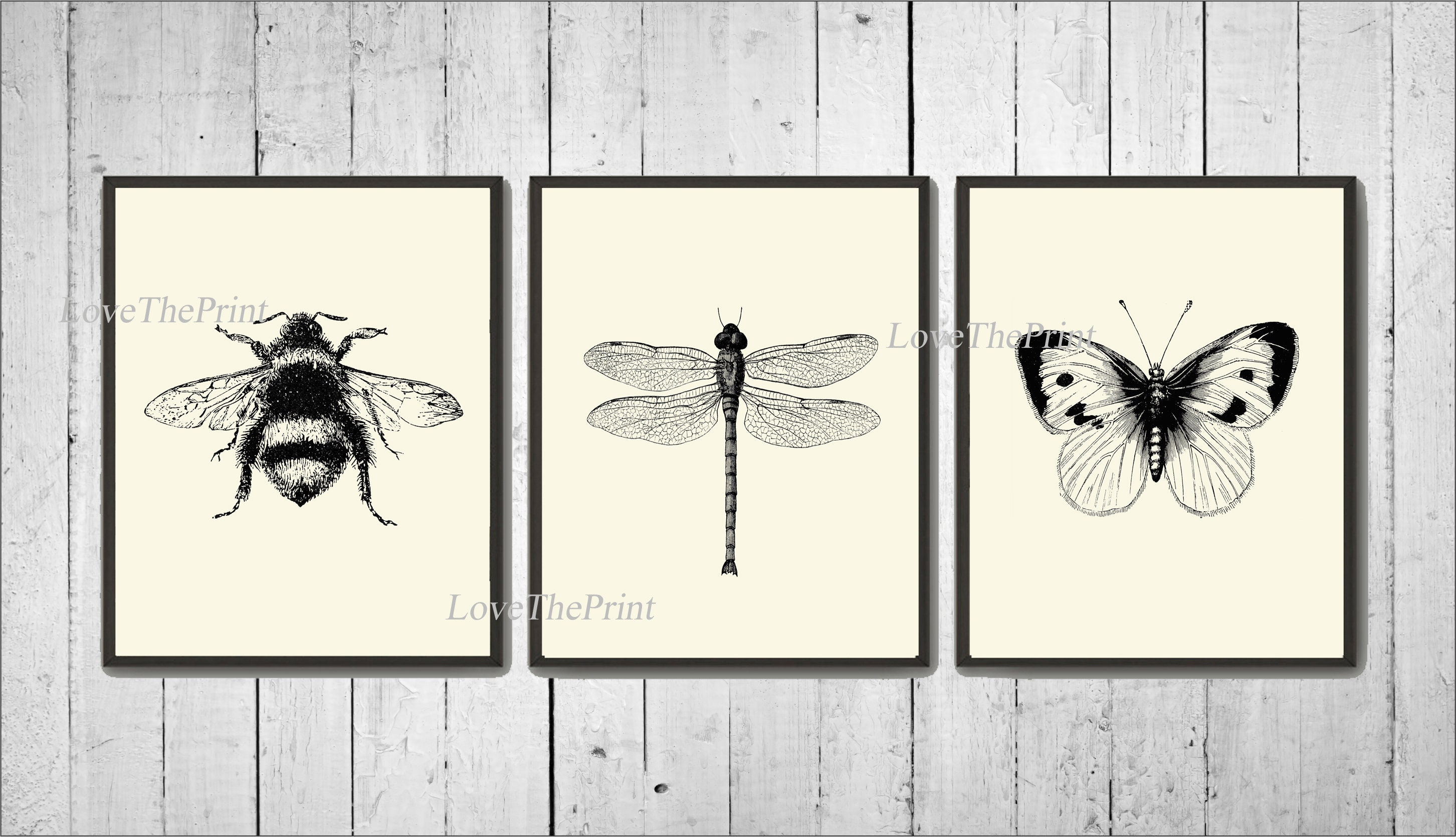 Bee Bumblebee Dragonfly Butterfly SET of 3 Art Prints | Etsy