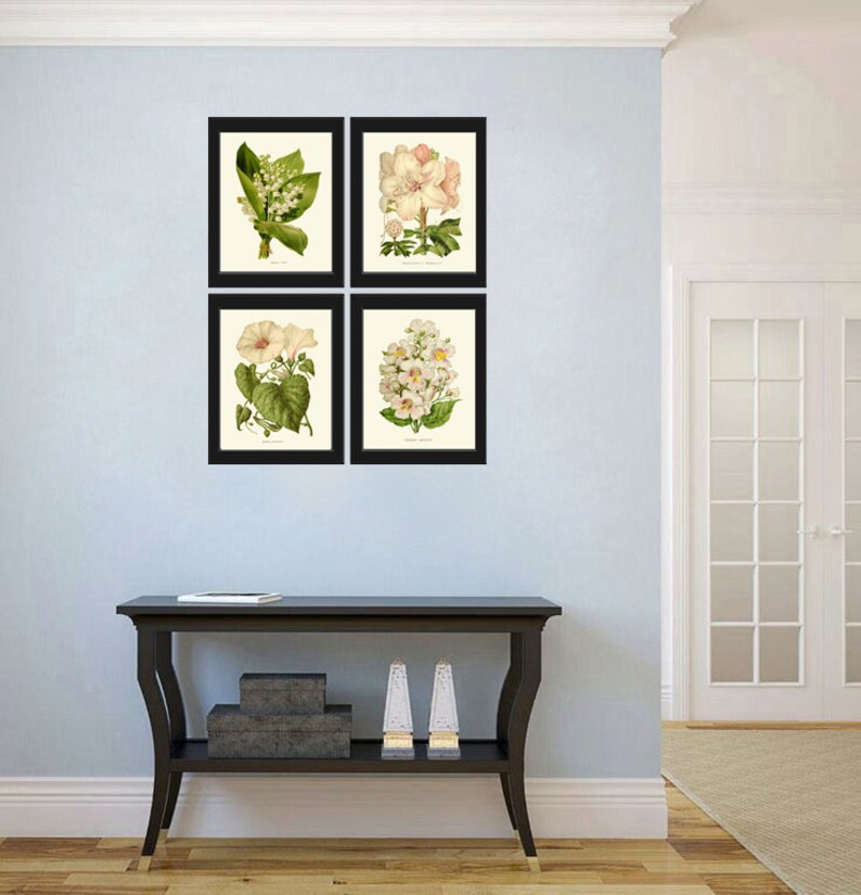 Botanical Wall Art Print SET of 4 Beautiful Antique White Flowers Lily of the Valley Rhododendron Morning Glory Moonflower Catalpa Decor IH