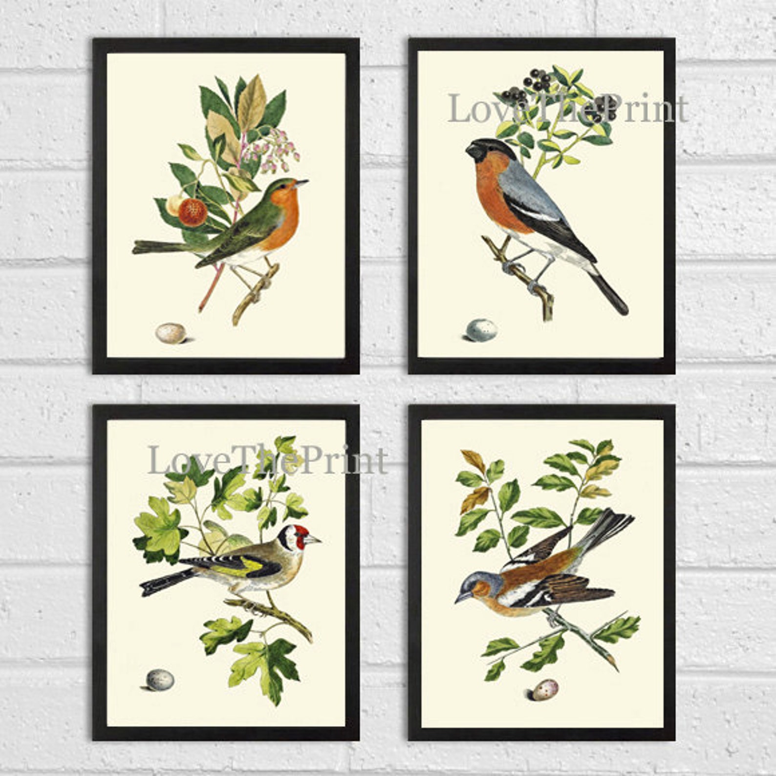 Bird Print Set of 4 Art Prints Beautiful Antique Tree Branch Etsy