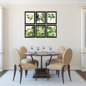 White Magnolia BOTANICAL Print SET of 6 Prints Antique Vintage - Etsy