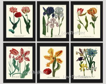 BOTANICAL Print SET of 6 Art Print  Antique French Garden Blue Iris Red Yellow Tulips Plants Spring Summer Vintage Room Wall Home Decor