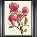 see more listings in the BOTANICAL PRINTS section