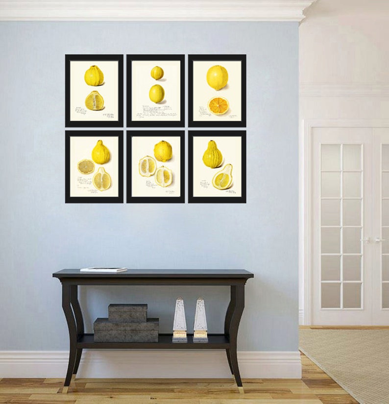 Lemon Wall Art Botanical Print Set of 6 Art Prints Beautiful Etsy