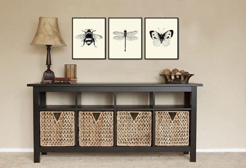 Dragonfly Print Wall Art PR3 Beautiful Insect Vintage Black and White Illustration Ivory Background Home Room Decor Garden Nature to Frame image 3