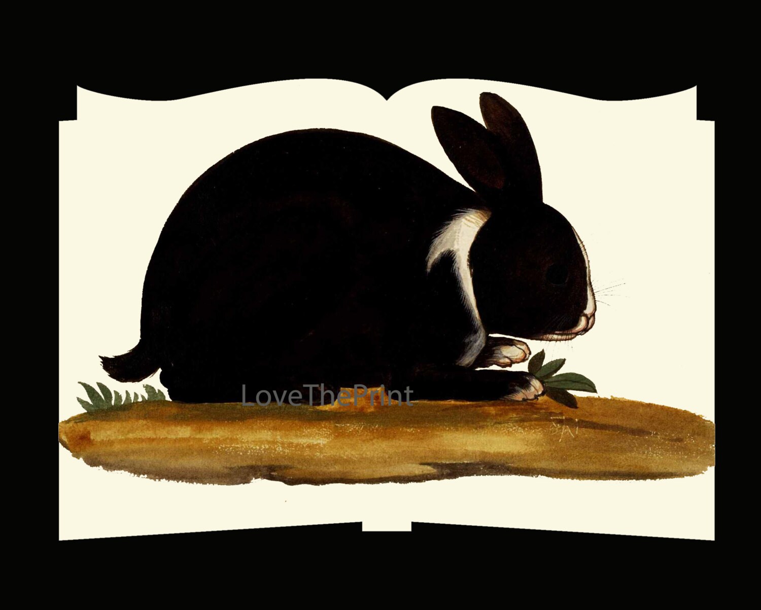Rabbit Print Art Print 24 Beautiful Antique Black Bunny Etsy