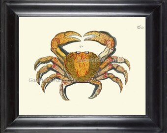 Crab Print Wall Art 6 Beautiful Antique Sea Ocean Nature to Frame Beach Home Seaside Nautical Marine Decor Interior Design Wall Hanging