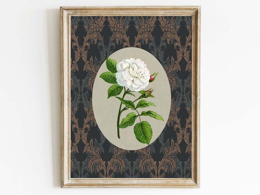 Antique Rose Wall Art Print White Flower Victorian Gothic Romantic ...