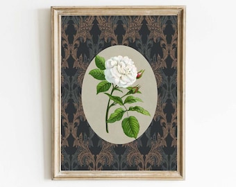 Impresión artística de pared con rosas antiguas, flor blanca, estilo victoriano gótico, romántico, vintage, elegante, clásico, antiguo, decoración del hogar, diseño de interiores para enmarcar FFG11