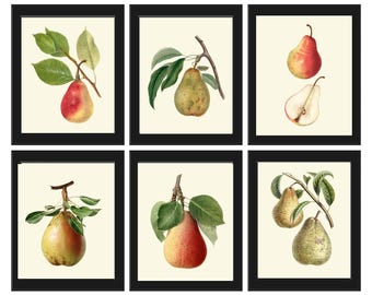 Juego de 6 impresiones artísticas de pared con diseño de pera vintage, hermosas y coloridas, para cocina, comedor, casa de campo moderna, decoración botánica para el hogar, para enmarcar, PGG